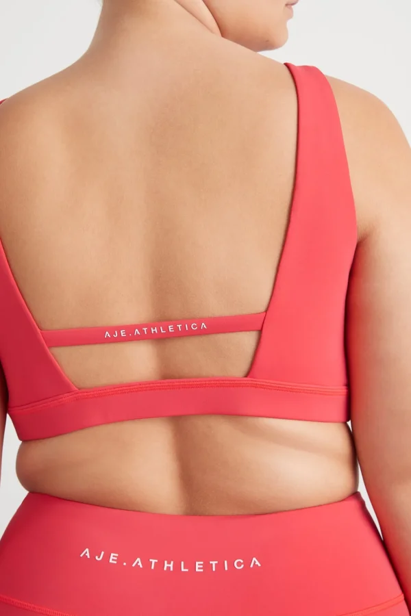 Contour Plunge Sports Bra 342