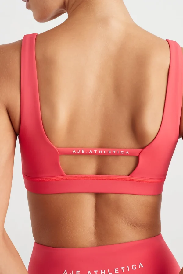 Contour Plunge Sports Bra 342
