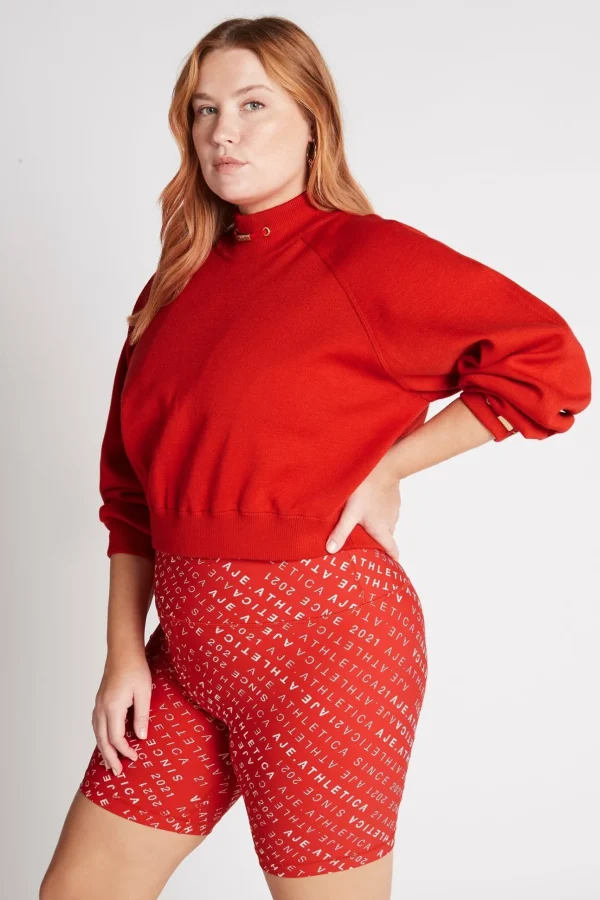 Cropped Knit Funnel Neck Jumper 408