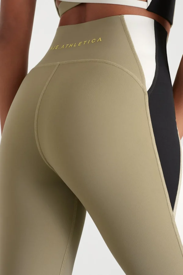 Panelled Legging 211