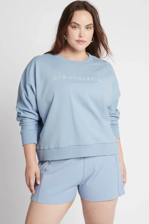 Signature Logo Crew Jumper 401